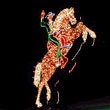 The Freemont Hacienda Horse and Rider neon sign