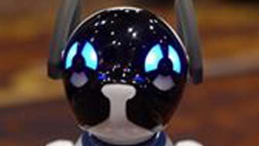 loveablerobotdog_520 loveablerobotdog_520